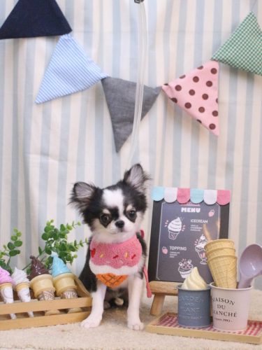 20250507はなまるちゃん